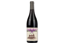 Magnet Bourgogne Pinot noir