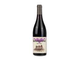 Magnet Bourgogne Pinot noir