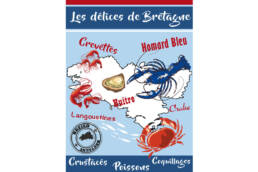 Torchon Bretagne Breizh