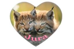 Magnet cœur souvenir Jura représentant deux jeunes lynx