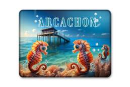 Magnet rectangle souvenir Arcachon avec hippocampes et cabane tchanquée