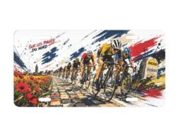 Plaque immatriculation m&eacute;tal souvenir Roubaix avec des cyclistes sur les pav&eacute;s