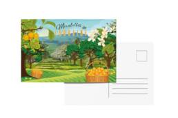 Carte postale souvenir Mirabelles Lorraine avec vergers de mirabelles
