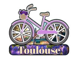 Magnet v&eacute;lo souvenir Toulouse avec violettes et Pont Saint-Pierre